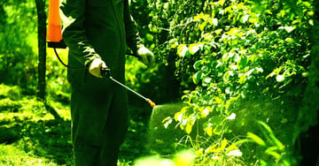 farmer-horrified-ai-advice-agriculture-crops-sesame