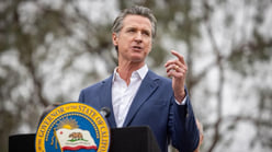 newsom Medium