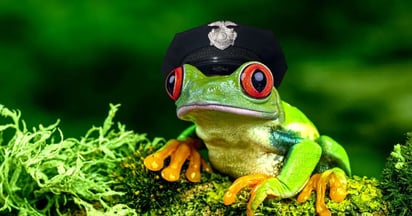 police-frog