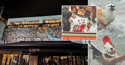 tearing-down-ai-christmas-decoration